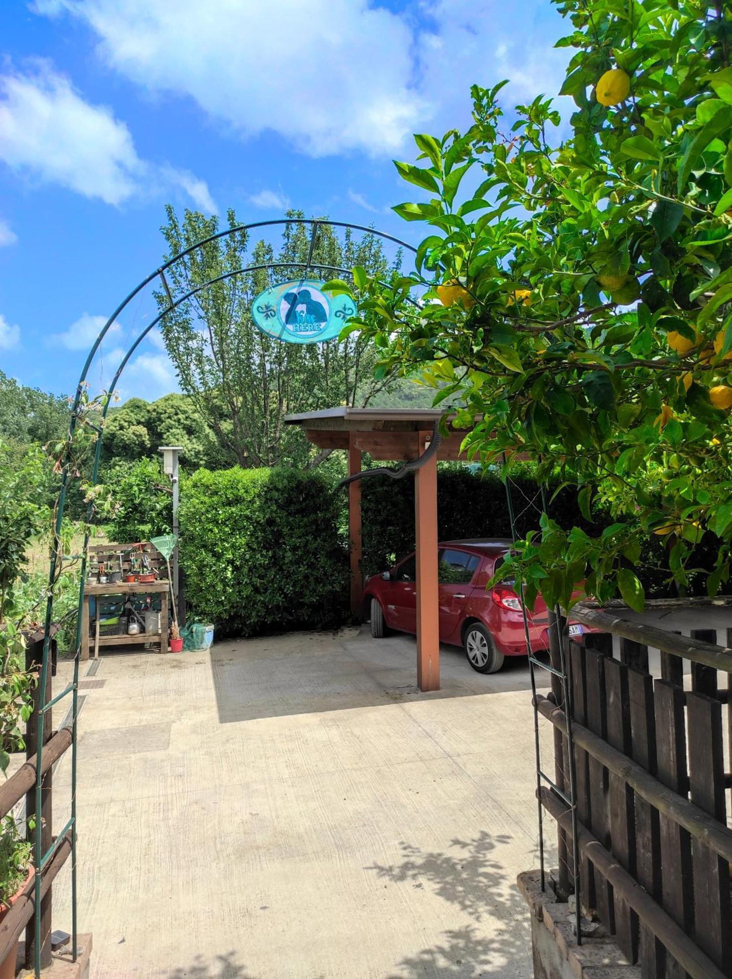 Caledonia B&B Mercato San Severino Exterior photo